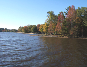 Cane Creek Park #1