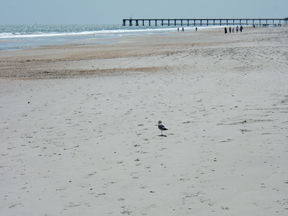 Wrightsville Beach, NC